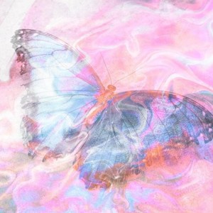 氛围感小众歌曲_“忍不住单曲循环！”